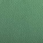 Clairefontaine 93778C Paquet Papier Etival Color - 24 Feuilles Papier Dessin à Grain Vert Foncé - 50x65 cm 160g - Idéal pour le Dessin et les Activités Créatives