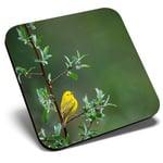 Square Single Coaster  - Little Yellow Bird Tree Rain Nature  #45583