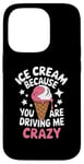 iPhone 14 Pro Ice Cream Because You Are Driving Me Crazy Case