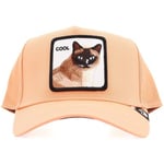 Casquette Goorin Bros  COOL CAT