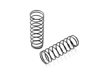 XRAY XR-368482 Rear Big Bore Conical Spring Set L (2)