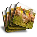 Set of 4 Square Coasters - Wild Chickens Animal Farm Birds  #16908