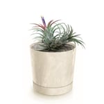 Botle Pot De Fleur Rond Creme En Plastique Beton Effect Cache Pot 28,3 Cm Decoratif Bac A Plantes Avec Soucoupe Fleurs