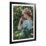 Big Box Art Framed Print of Charles C. Curran Scent of The Apple Design | Wall Art Picture | Home Decor for Kitchen, Living Room, Bedroom, Hallway, Black, A2 / 24.5x18 Inch / 62x45cm