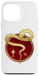 iPhone 13 Pro Max Zen Taiji Lucky Money Red Pocket Snake Year Pj ART ON BACK Case