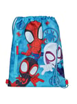 Undercover Gym bag Spidey