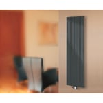 Radiateur à eau chaude Lyon, noir, inertie fluide, vertical, raccord central Schulte 180 x 46 cm, 1100 w