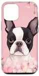 Coque pour iPhone 14 Boston Terrier et fleurs de cerisier roses en rose