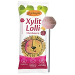 Birkengold Sugar-free raspberry lollipop with vitamin C, D and zinc, 6 g