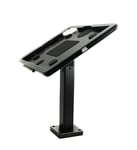 System-S Support Mural verrouillable à 360° pour iPad Pro 7 13" Air 13" (M2) Pro 6 5 4 3 12,9"