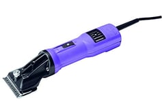 Hauptner 89503110 Electric Tondeuse à Cheval avec Peignes Standard Violet