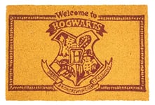 SD TOYS - Harry Potter Entrance Doormat, Coconut Fibre and Non-Slip Vinyl, Yellow, 60 x 40 cm