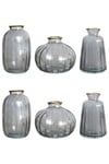 The Urban Gardener Bud Vases Set of 6