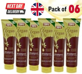 6 x Argan Oil Shampoo 300ml with Moroccan Oil - Hydrate, Repair & Restore Hair