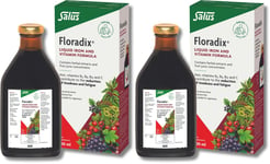 Floradix Liquid Iron and Vitamin Formula 500ml X 2