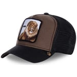 Casquette Goorin Bros  Casquette Homme KING