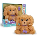 BABY PAWS Labradoodle, Chiot Interactif en Peluche Qui Réagit à Vos Demandes, Comprend Un Sac à Langer pour l'Emmener Partout, Jouet Cadeau pour Enfants à Partir de 3 Ans