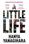 A Little Life: The Million-Copy Bestseller (Picador Collection)