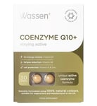 Wassen Unique Formula Coenzyme Q10 and Vitamin E,B1,B2 and Zinc - 30 Tablets