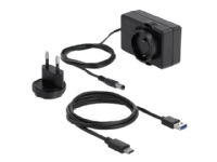Delock USB Type-C Docking Station for 2 x SATA HDD / SSD - HDD dockningsstation - fack: 2 - 2,5 tum/3,5 tum delad - SATA 6Gb/s - USB-C - transparent
