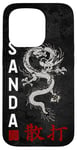 iPhone 15 Pro Dragon Sanda Chinese Boxing Case