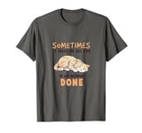 Sometimes It Takes All Day To Get Nothing Done Funny Cat T-Shirt