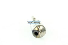 Partikelfilter Walker - Renault - Megane, Scenic