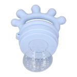 (Light Blue)Baby Fruit Feeder Silicone Teething Development Soothing Gum Baby