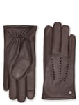 Adax Glove Adam Brown Adax