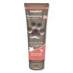 BEAPHAR – Shampoing premium brillance du pelage pour chien – Aux polyphénols de raisin, aux extraits naturels de Mangue & de Kiwi – Donne éclat et brillance au poil –pH neutre et sans parabens– 250 ml