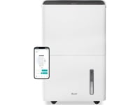 Duux Duux Smart Dehumidifier | Bora | Suitable For Rooms Up To 50 M | Water Tank Capacity 4 L | White One Size