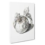 Big Box Art Apple by Jean Bernard Canvas Wall Art Framed Picture Print, 30 x 20 Inch (76 x 50 cm), White, Grey, Green, Black