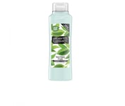 Alberto Balsam Tea Tree Conditioner 350ml