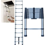 Lucn - 320cm Echelle Pliable en Acier Inoxydable Échelle Pliant Telescoping Ladders 11 Échelons, EN131 Léger Entièrement Rallongé 3,2m - Charge 150kg