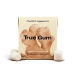 True gum Ginger & Turmeric - 20 g Personlig pleie Munn- & tannpleie Tyggegummi og sugetabletter