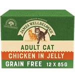 James Wellbeloved Adult Grain-Free Chicken in Jelly 12 Pouches, Hypoallergenic Wet Cat Food, Pack of 1 (12x85 g)