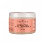 Coconut & Hibiscus Hand & Body Scrub 12 Oz By Shea Moisture