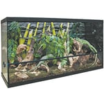 Repti-Selva TRS135 Terrarium en Verre