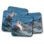 4 Set - Great White Shark Attack Coaster - Ocean Marine Hunter Sea Gift #15238