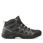 Trekking-skor Salomon X Braze Mid GORE-TEX L47174800 Svart