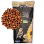 Lyra Pet - 10 kg de cacahuètes ® avec peau Nouvelle récolte