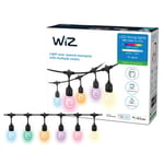 WiZ 48ft Smart Ambient Outdoor Festoon Lights