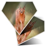 2 x Diamond Stickers 10 cm  - Caracal African Lynx Cat  #3170