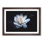 Big Box Art Blue Magnolia Flower Paint Splash Framed Wall Art Picture Print Ready to Hang, Walnut A2 (62 x 45 cm)