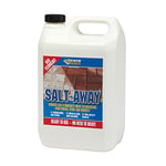 Everbuild Salt Away Spray | Salt Remover & Unsightly White Efflorescence from Bricks, Stone and Concrete - 5 Litre