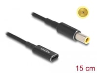 Delock strømadapter - 24 pin USB-C til 7 9 x 5 5 mm DC-jakk - 15 cm