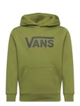 VANS Vans Classic Kids Po Grön