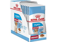 Royal Canin Medium Puppy, Valp, Alla Raser, Medium (11 - 25 Kg), Kött, 140 G