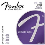 Fender 7060 Jeu de cordes pour Basse acoustique 45-95 Scale 30/32"