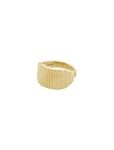 Pilgrim Jemma Square Signet Ring Guld